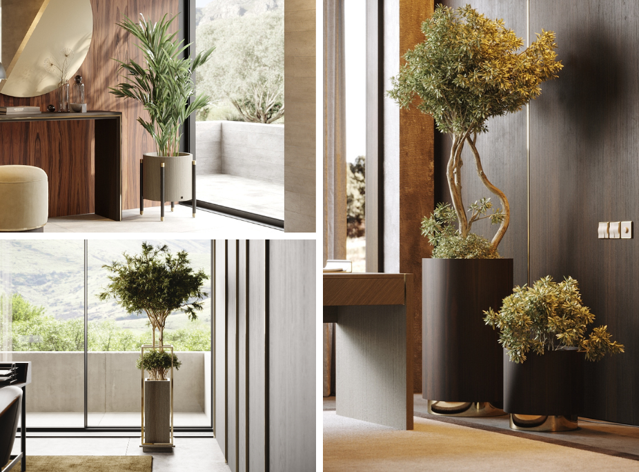 Varios ejemplos de plantas altas en jardineras utilizadas para decorar rincones vacíos y pasillos.