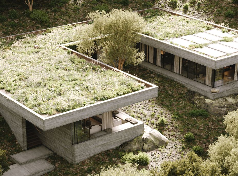 Telhado verde em casa com design bioflico