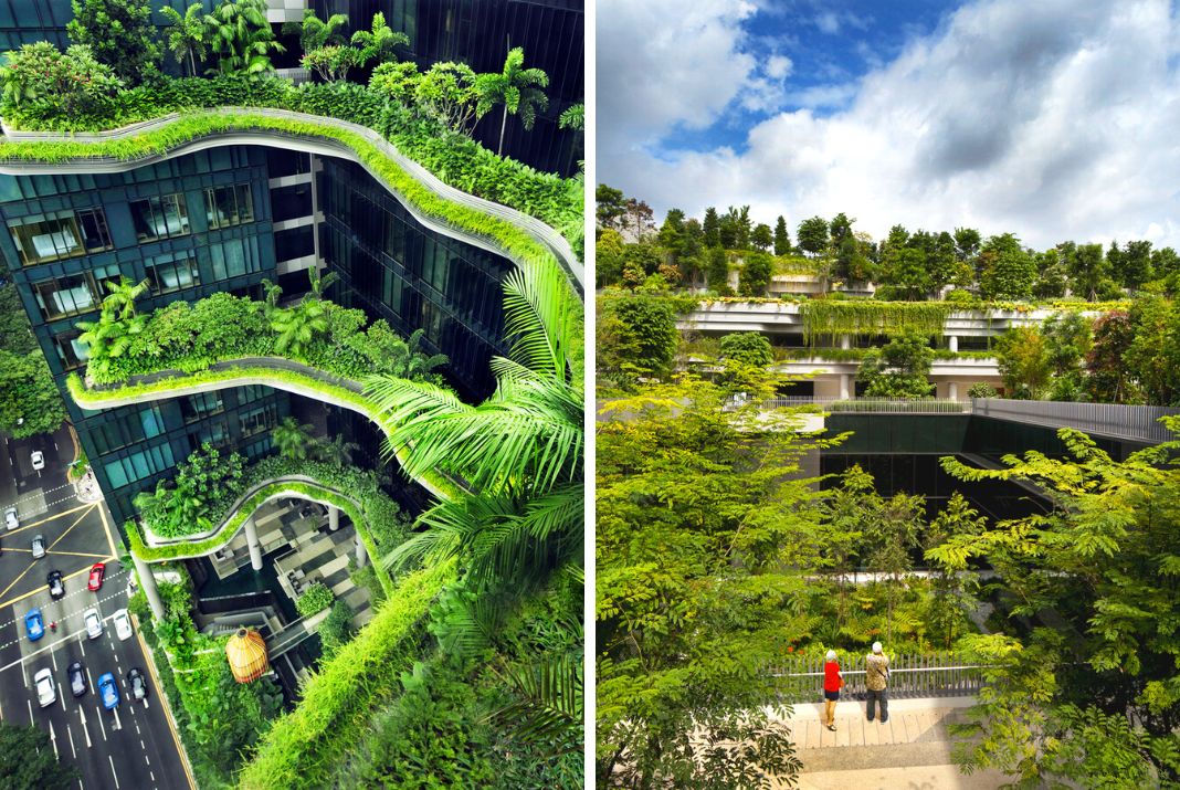 sustainable living singapore